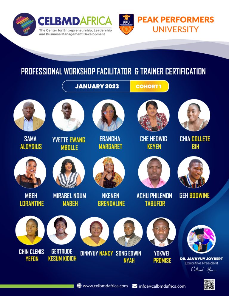 Read more about the article Press Release: Announcing Professional Workshop Facilitators
